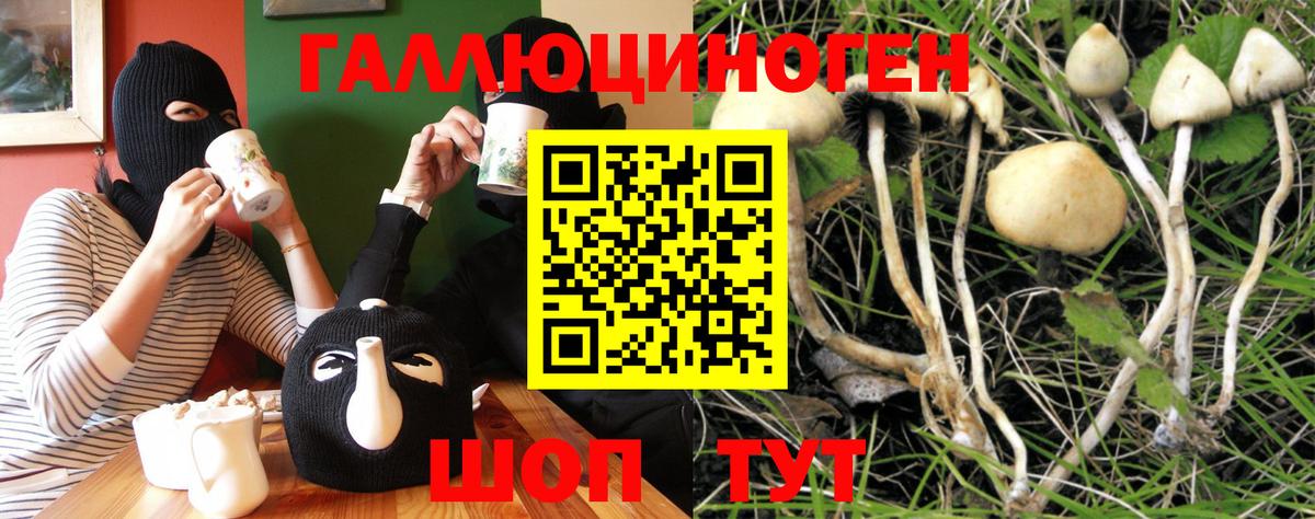 Жигулёвск  Псилоцибиновые грибы Cubensis  Вход с VPN 